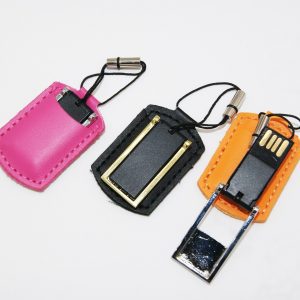 Mini USB in Pouch