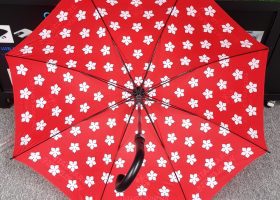DO0722 006 Dulwich 27 Inch J Hook Umbrella