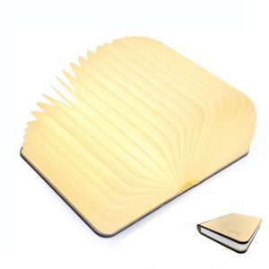 LED Light up Book Torch