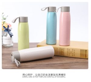 Eco Friendly Handle Bottle 04