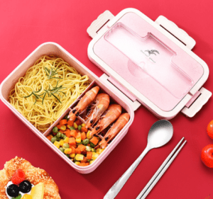 Hand Carry Eco Lunch Box 1