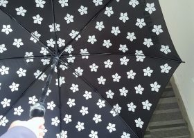 IB JHOOK Automatic UV Umbrella 3