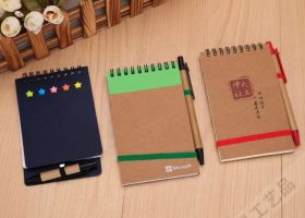 Eco Kraft Post it with Pen 2