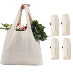 Foldable Canvas Tote Bag in Pouch