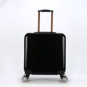 Kids Size Travel Luggage