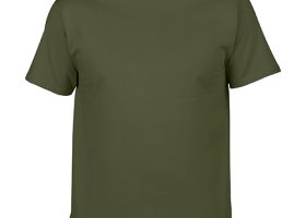 GILDAN Premium Cotton T Shirt 1
