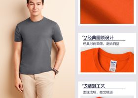 GILDAN Premium Cotton T Shirt 10