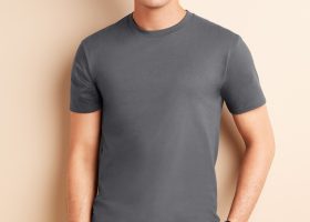 GILDAN Premium Cotton T Shirt 12