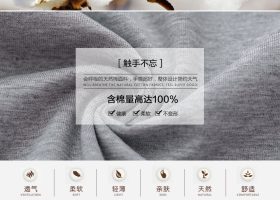 GILDAN Premium Cotton T Shirt 14