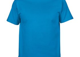 GILDAN Premium Cotton T Shirt 16