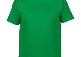 GILDAN Premium Cotton T Shirt 2