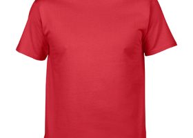 GILDAN Premium Cotton T Shirt 20