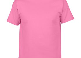 GILDAN Premium Cotton T Shirt 22