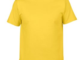 GILDAN Premium Cotton T Shirt 24