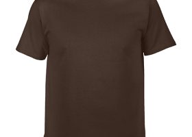 GILDAN Premium Cotton T Shirt 25