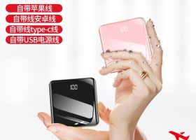 Gloss 10000mah In Built Cable Powerbank 16