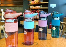 Flip out Tritan 750ML Bottle 2