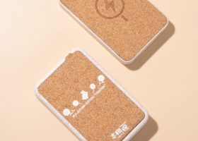 Eco Cork 10000mah Wireless Magsafe Stand Powerbank 3
