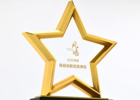 Excellency Star Award Plaques with Base 1