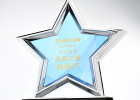Excellency Star Award Plaques with Base 10