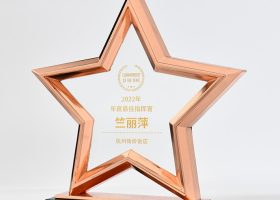 Excellency Star Award Plaques with Base 11