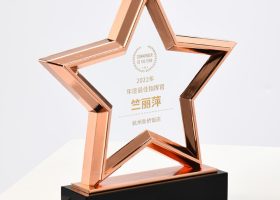 Excellency Star Award Plaques with Base 2
