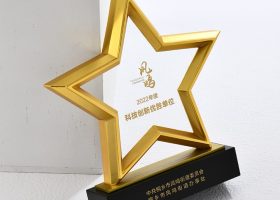 Excellency Star Award Plaques with Base 3
