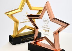 Excellency Star Award Plaques with Base 5