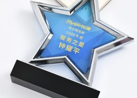 Excellency Star Award Plaques with Base 6