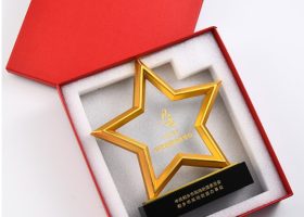Excellency Star Award Plaques with Base 7