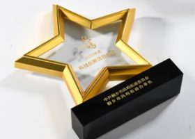 Excellency Star Award Plaques with Base 8