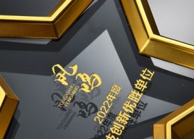 Excellency Star Award Plaques with Base 9